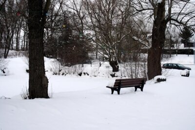 Foto des Albums: Stubenmusikanten, Winter und Weihnachtsausstellung