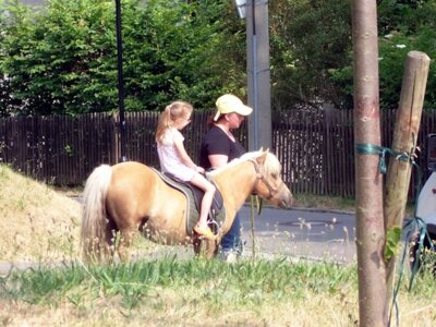 Foto des Albums: Vielauer kirmes 2010