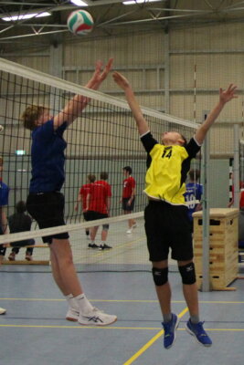 Foto des Albums: Volleyball_03-12-2024