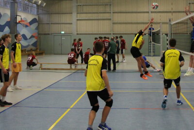 Foto des Albums: Volleyball_03-12-2024
