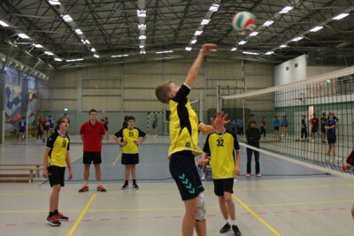 Foto des Albums: Volleyball_03-12-2024