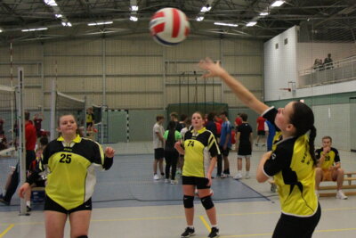 Foto des Albums: Volleyball_03-12-2024