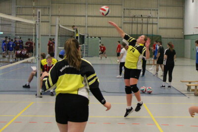 Foto des Albums: Volleyball_03-12-2024