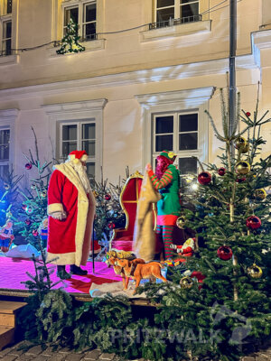 Foto des Albums: Die Nikolausrettung 2024 glückte - Teil 1