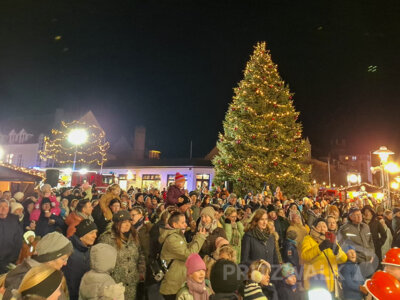 Foto des Albums: Die Nikolausrettung 2024 glückte - Teil 1