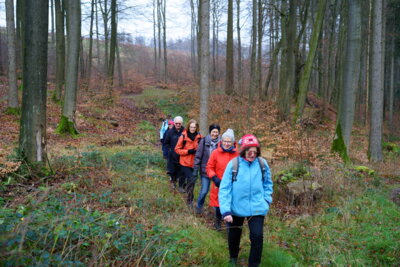 Auf dem Grenzweg  (Bild vergr&ouml;&szlig;ern)