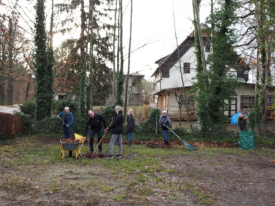 Vorschaubild: IMG 8501