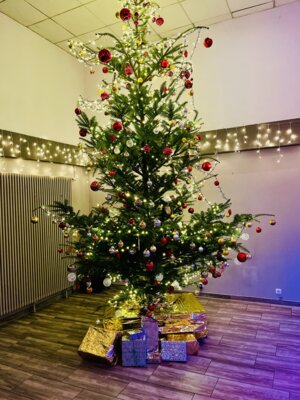 Foto des Albums: Sportlerball 2024