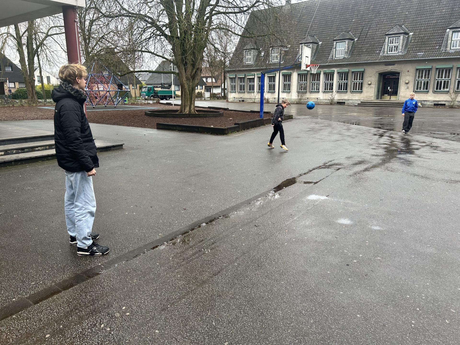 Bild der Galerie