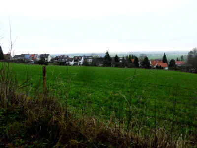 Foto des Albums: Kulinarische Jahresabschlusswanderung