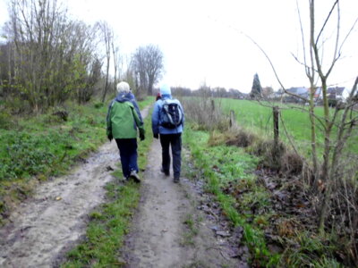 H&ouml;henweg oberhalb von H&ouml;henluft  (Bild vergr&ouml;&szlig;ern)