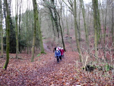 Im G&auml;nsemarsch  (Bild vergr&ouml;&szlig;ern)