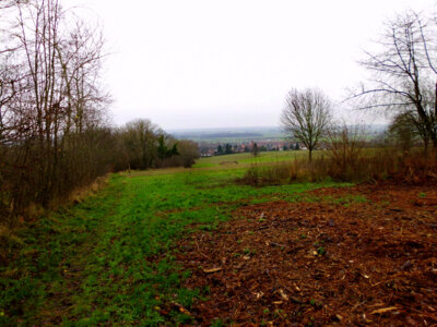 Auf dem Katzweg  (Bild vergr&ouml;&szlig;ern)