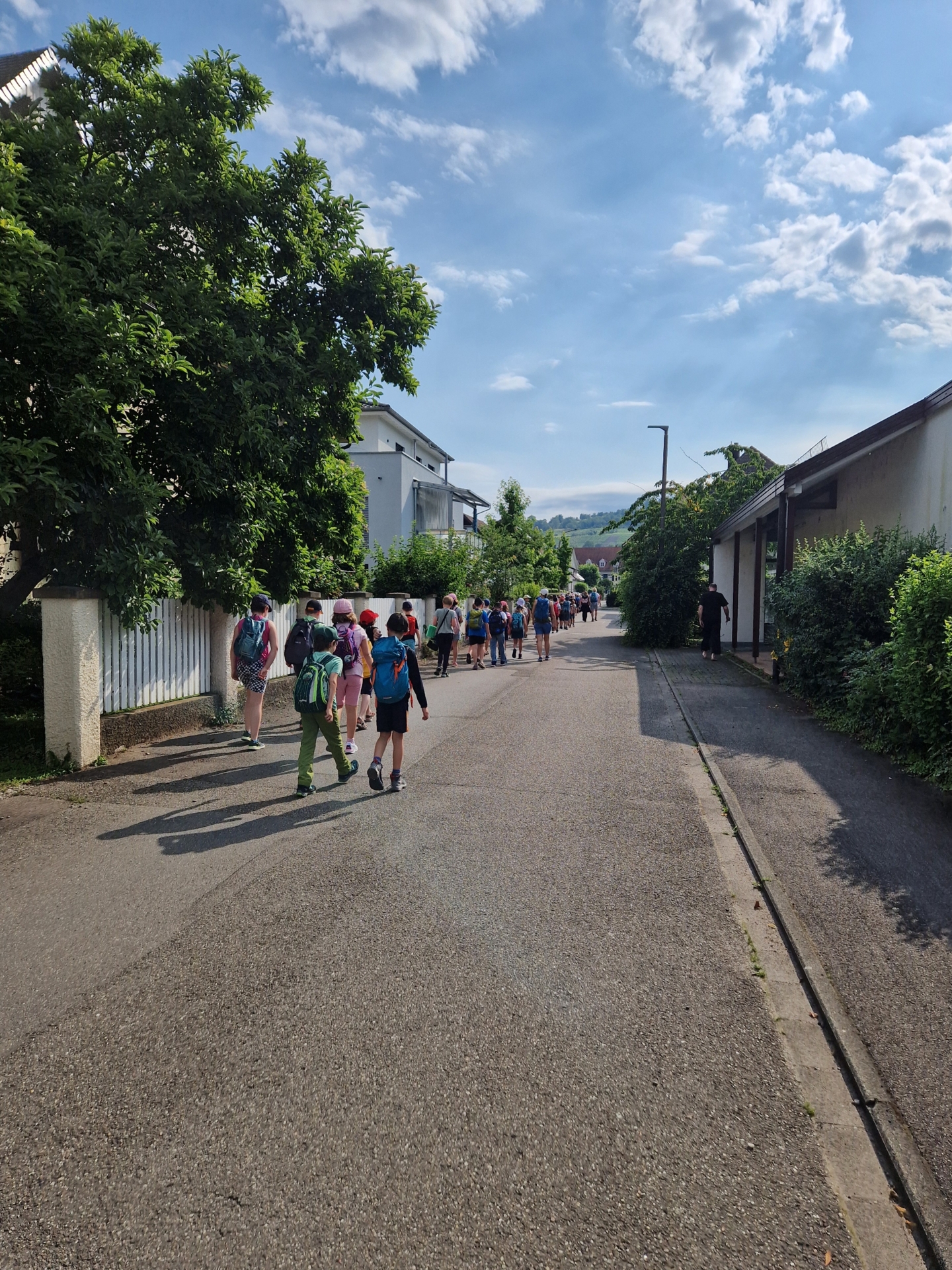 Bild  der Galerie