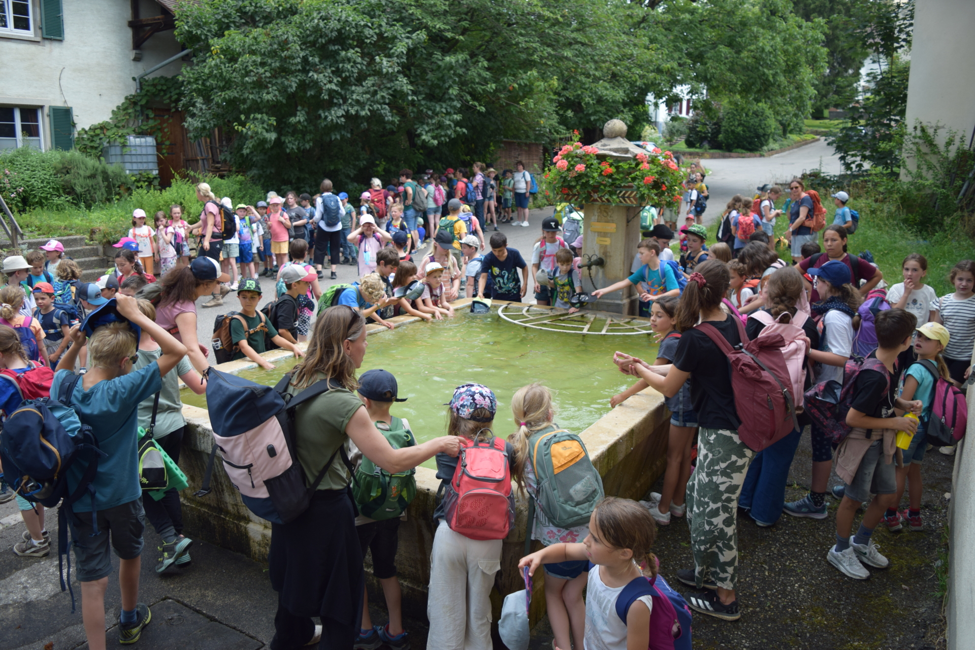 Bild  der Galerie