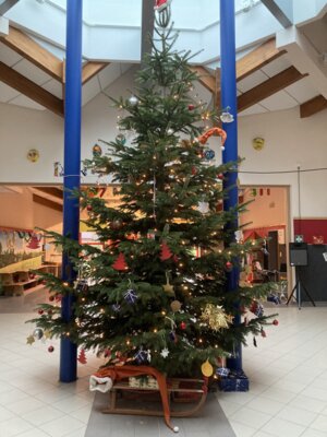 Foto des Albums: Weihnachtszeit