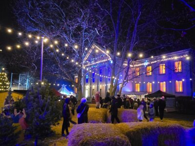 IMG-20241216-WA0010  (Bild vergr&ouml;&szlig;ern)