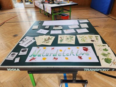 Foto des Albums: Themenangebotsmesse vom 06.10.22