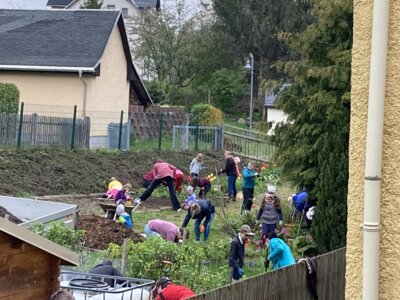 Vorschaubild: Schulgartenprojekt der Grundschule