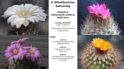 Foto des Albums: Jahresrückblick 2024