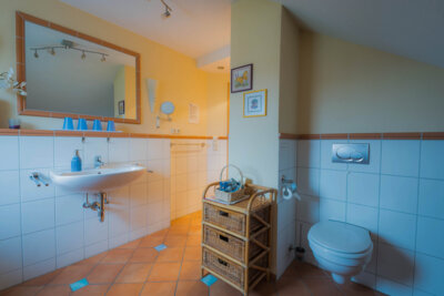 Badezimmer mit Dusche und WC  (Bild vergr&ouml;&szlig;ern)
