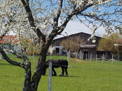 Ruhige Ortsrandlage  (Bild vergr&ouml;&szlig;ern)