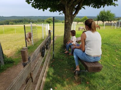 Tierbeobachtung mit sch&ouml;ner Aussicht  (Bild vergr&ouml;&szlig;ern)