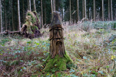 Waldgeist am Wegesrand  (Bild vergr&ouml;&szlig;ern)