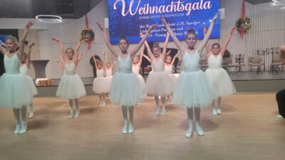 Weihnachtsgala 2024 MD (23) 