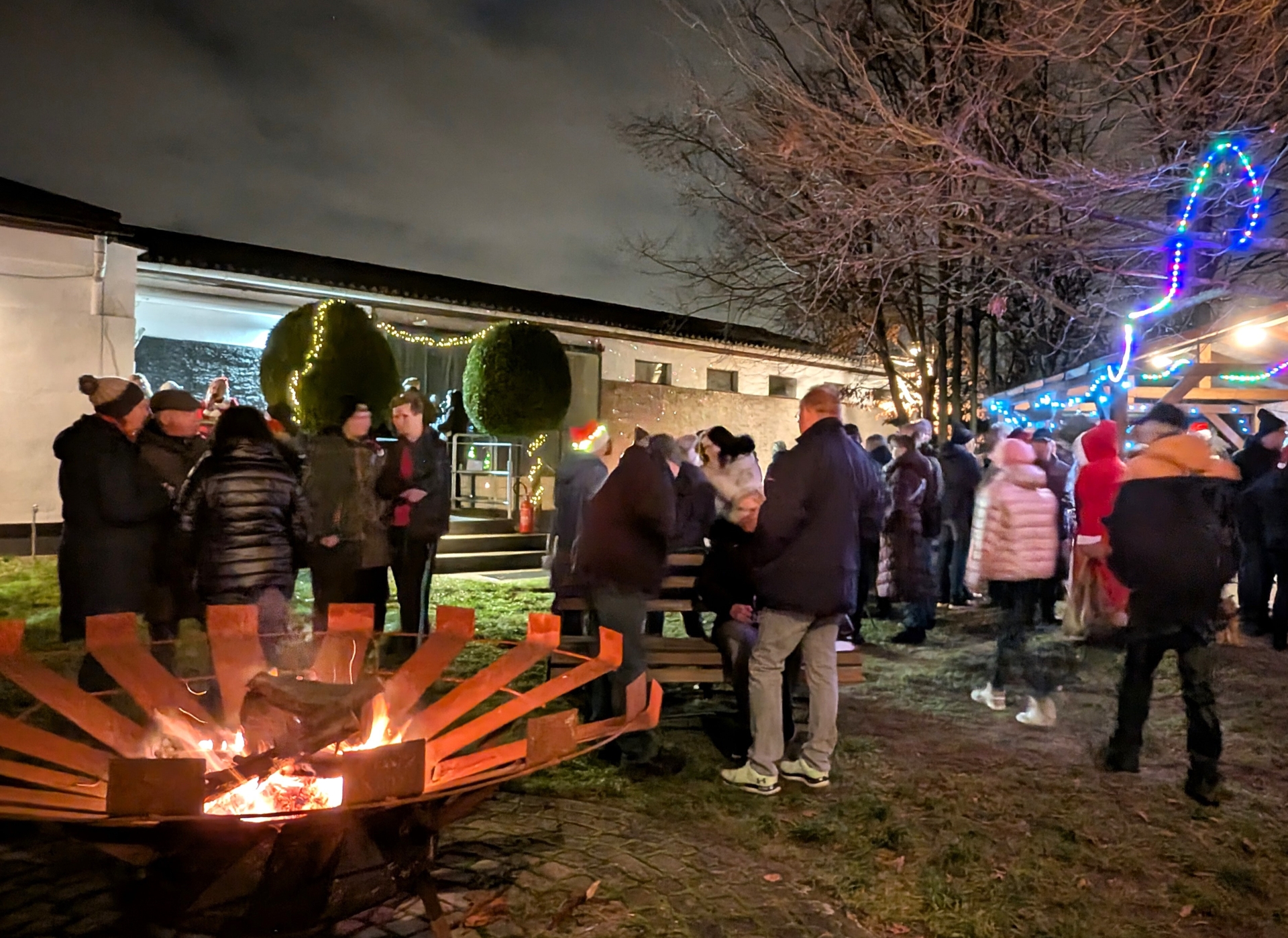 Bild der Galerie