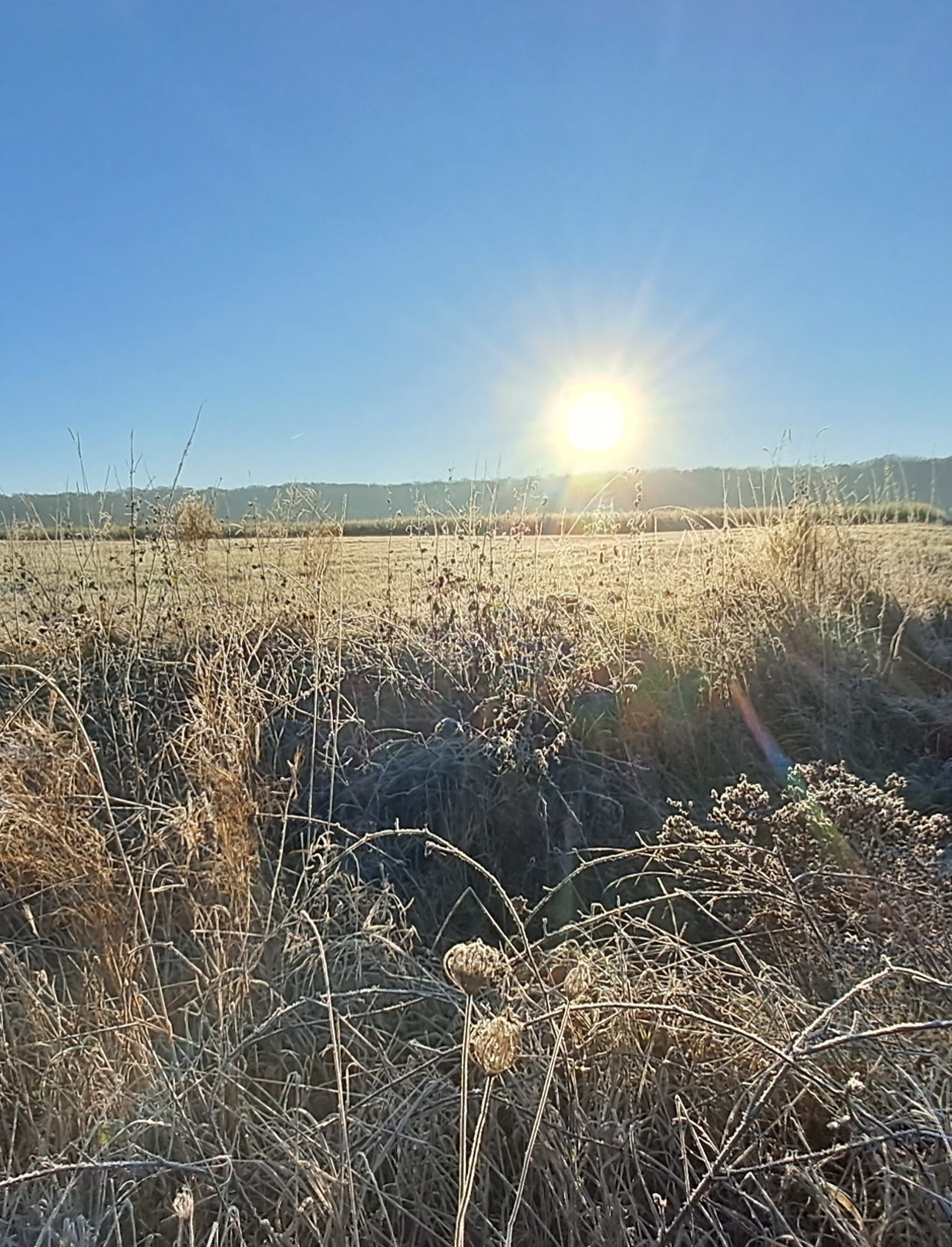 Bild: Erste Sonnenstrahlen am Morgen