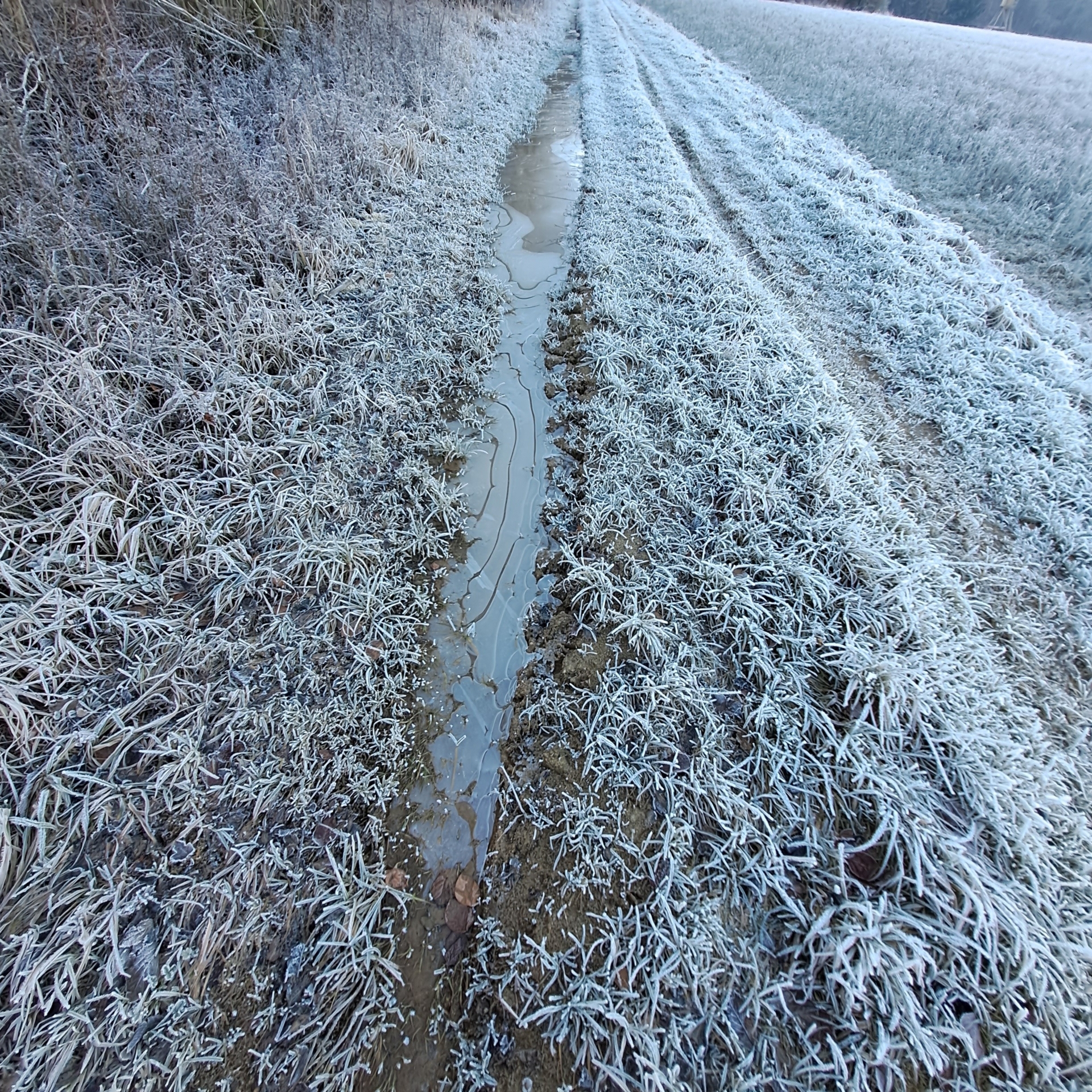 Bild: Im Schatten noch vom Frost gepuderte Wege
