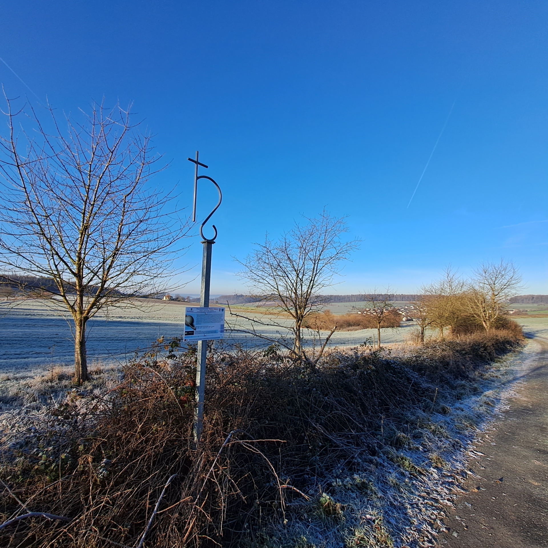 Bild: durch die Aspen zum