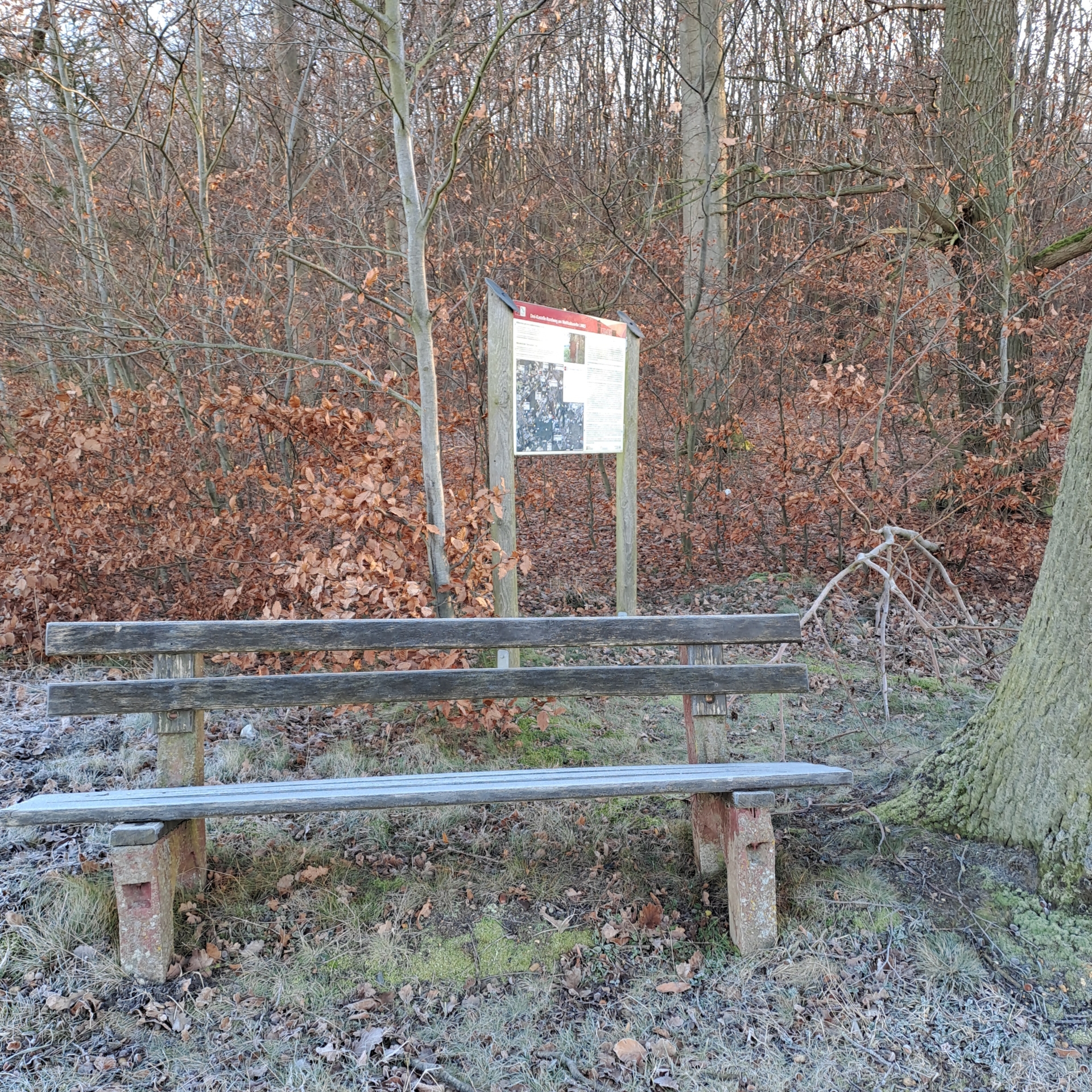Bild: Rastbank am Brandholz