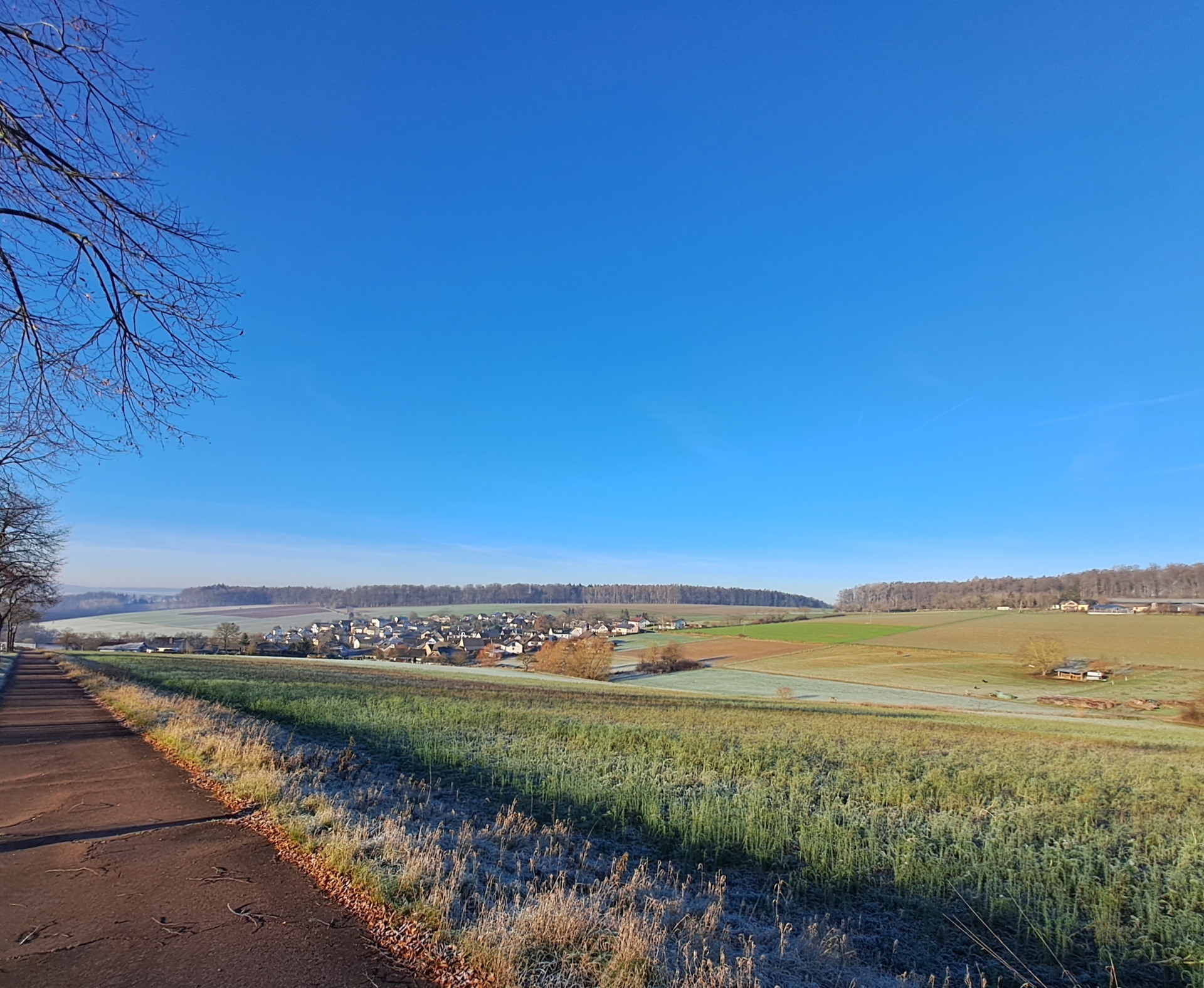 Bild: über Loreley-Aar Radweg zur