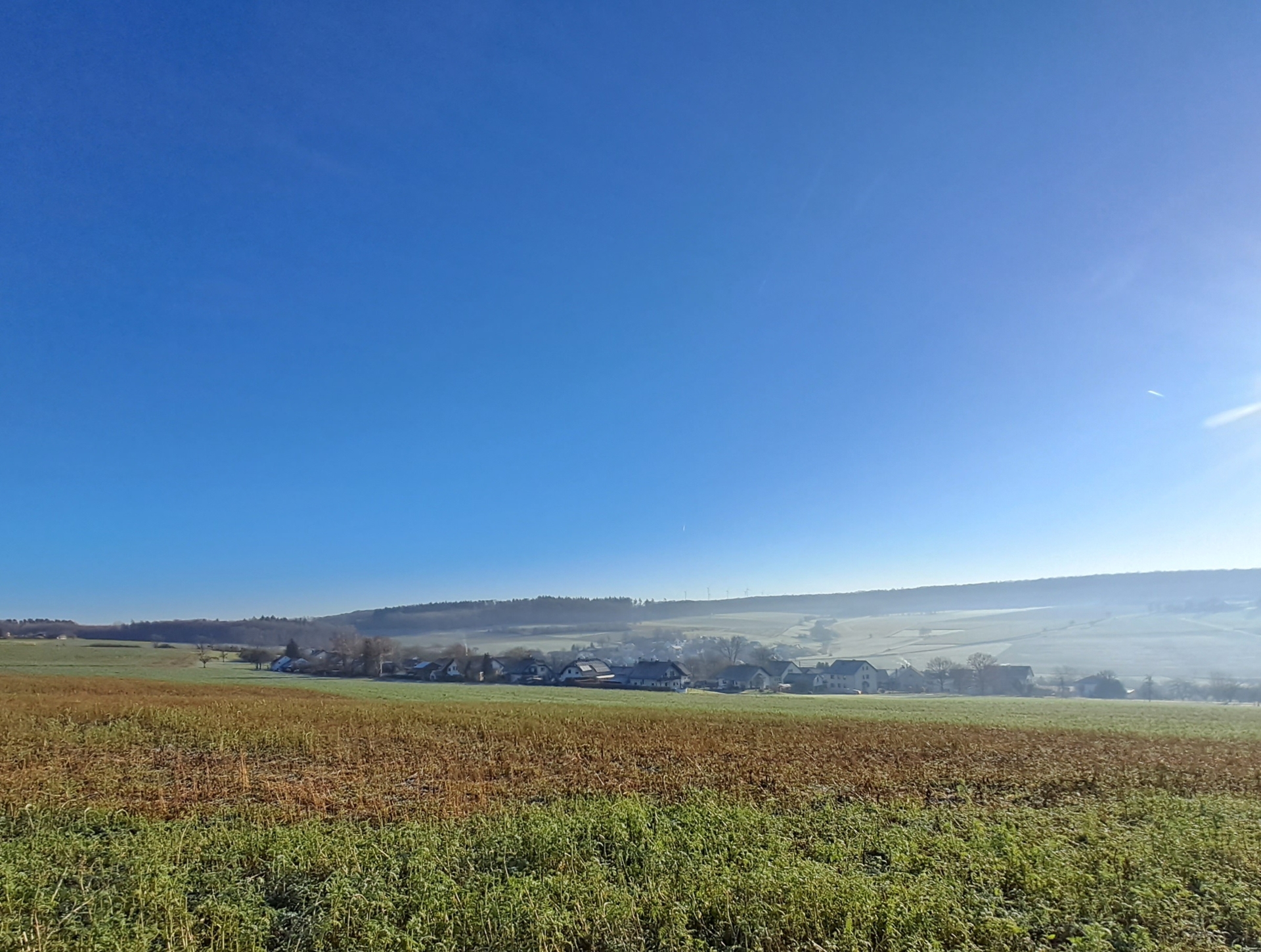 Bild: Blick von der
