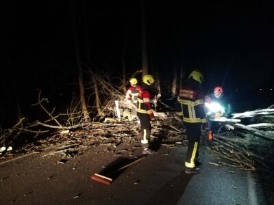 Fotoalbum Einsatz - Baum auf Straße (Rhg)
