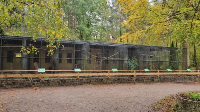 Neue Schilder f&uuml;r die Gehege wurden im Oktober im Bereich der Fasanerie und Papageien Volieren angebracht  (Bild vergr&ouml;&szlig;ern)