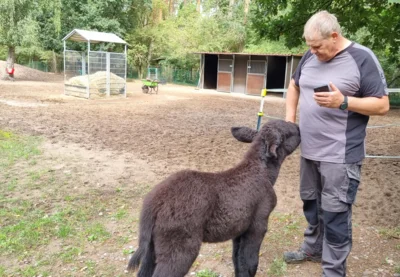 Foto des Albums: Aktuelle Fotos aus dem Tierpark 2026