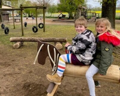 Foto des Albums: Holzpferde
