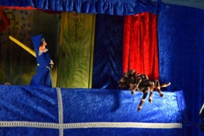 Foto des Albums: Puppenspiel
