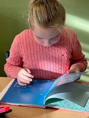 Foto des Albums: Neuer Lesestoff