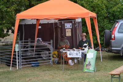 Foto des Albums: 7. Wittstocker Museumstag (2024)