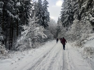 Feldbergweg  (Bild vergr&ouml;&szlig;ern)