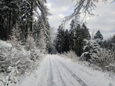 Feldbergweg  (Bild vergr&ouml;&szlig;ern)