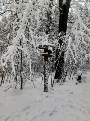 Schwere Last mit Schnee  (Bild vergr&ouml;&szlig;ern)