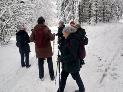 Pause  (Bild vergr&ouml;&szlig;ern)