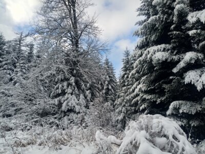 Ein bischen blauer Himmel  (Bild vergr&ouml;&szlig;ern)