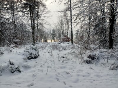 Winterlandschaft  (Bild vergr&ouml;&szlig;ern)