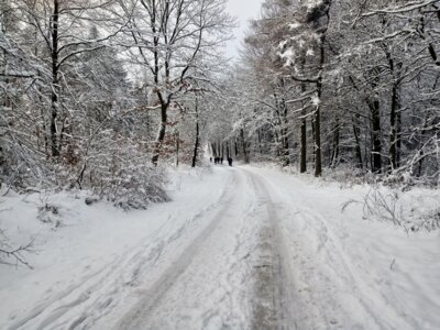 Auf dem Kammweg  (Bild vergr&ouml;&szlig;ern)